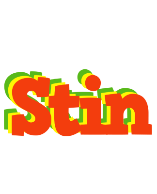 Stin bbq logo