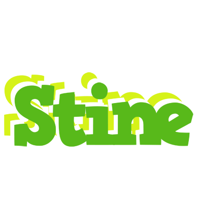 Stine picnic logo