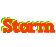 Storm bbq logo