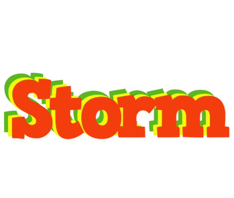 Storm bbq logo