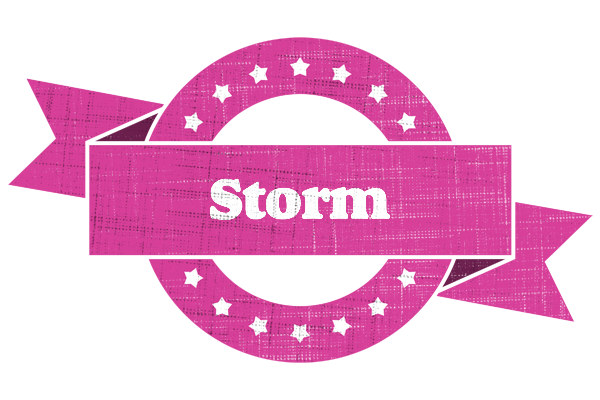 Storm beauty logo