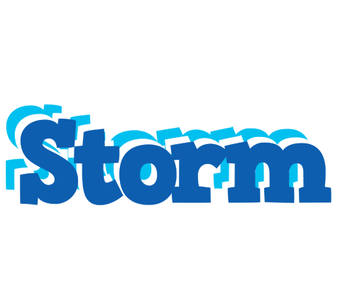 Storm business logo