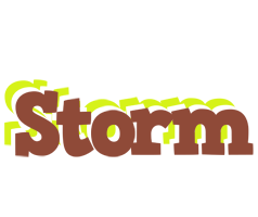 Storm caffeebar logo