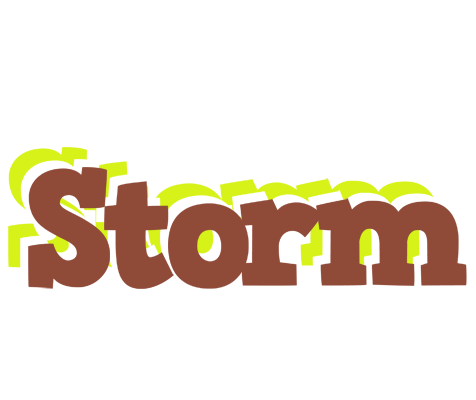 Storm caffeebar logo