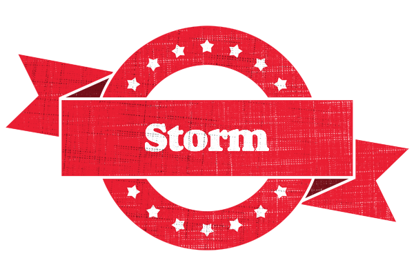 Storm passion logo