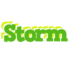 Storm picnic logo