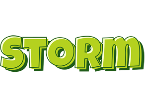 Storm summer logo