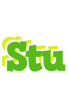 Stu picnic logo