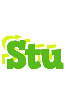 Stu picnic logo