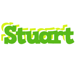 Stuart picnic logo