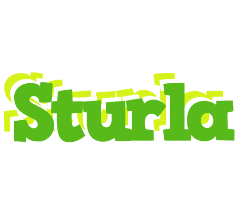 Sturla picnic logo