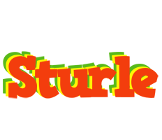 Sturle bbq logo