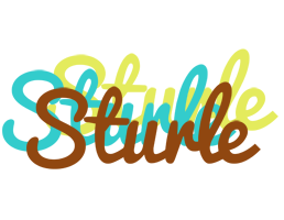 Sturle cupcake logo