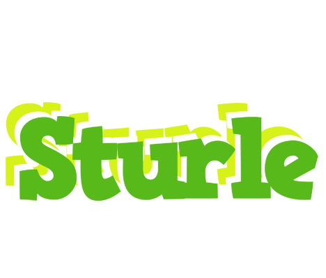 Sturle picnic logo