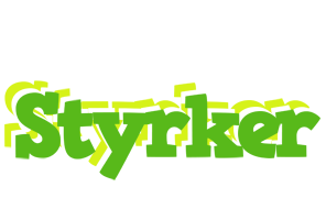 Styrker picnic logo