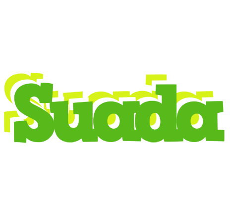 Suada picnic logo