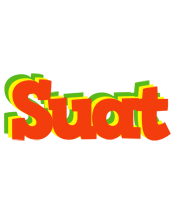 Suat bbq logo