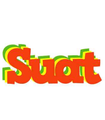 Suat bbq logo