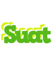 Suat picnic logo