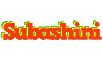 Subashini bbq logo