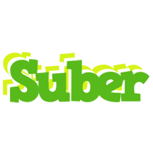 Suber picnic logo