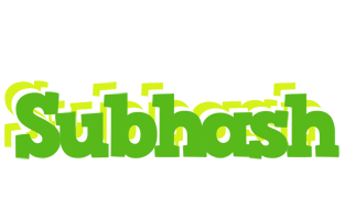 Subhash picnic logo