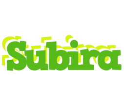 Subira picnic logo