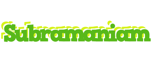 Subramaniam picnic logo