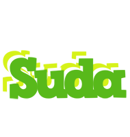 Suda picnic logo