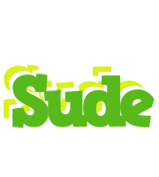 Sude picnic logo