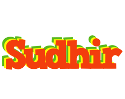 Sudhir bbq logo