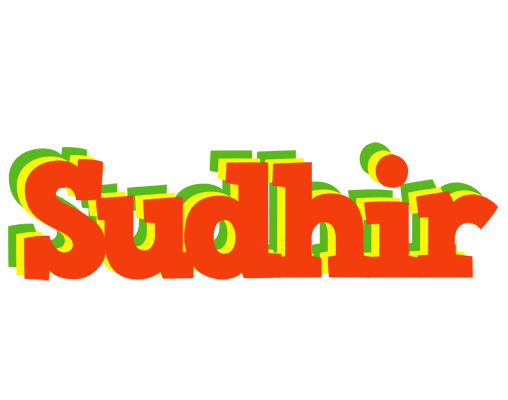 Sudhir bbq logo