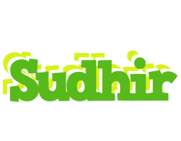 Sudhir picnic logo