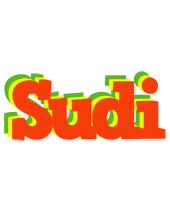 Sudi bbq logo