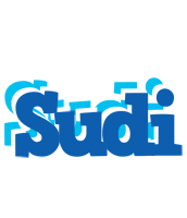 Sudi business logo