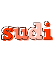 Sudi paint logo