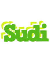 Sudi picnic logo