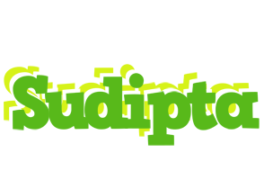 Sudipta picnic logo