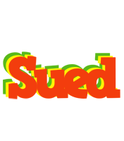 Sued bbq logo