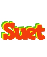 Suet bbq logo