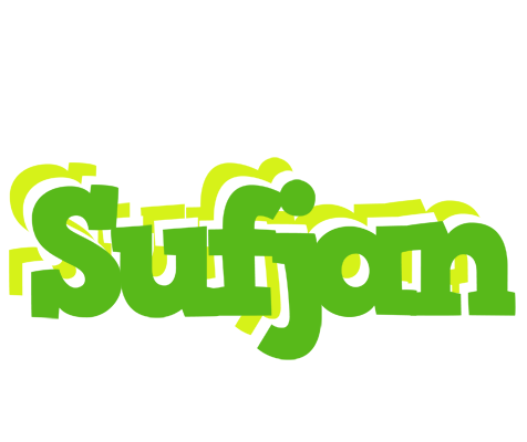 Sufjan picnic logo