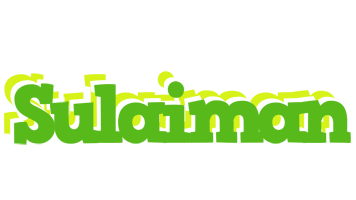 Sulaiman picnic logo