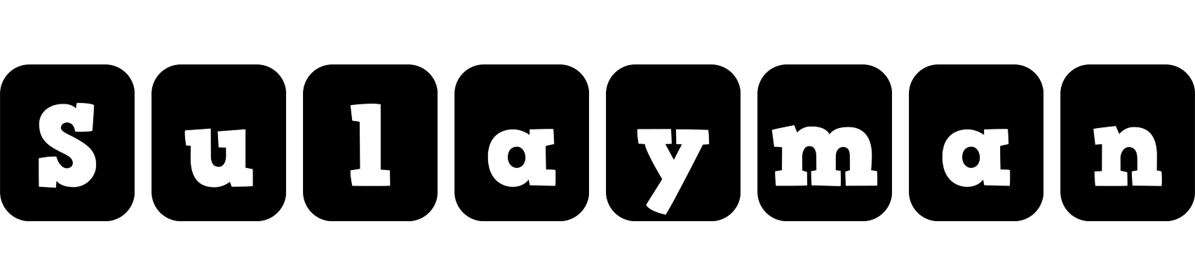 Sulayman box logo