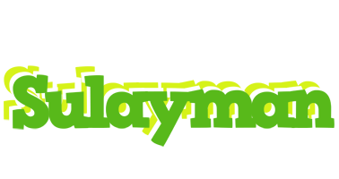 Sulayman picnic logo