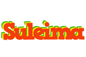 Suleima bbq logo