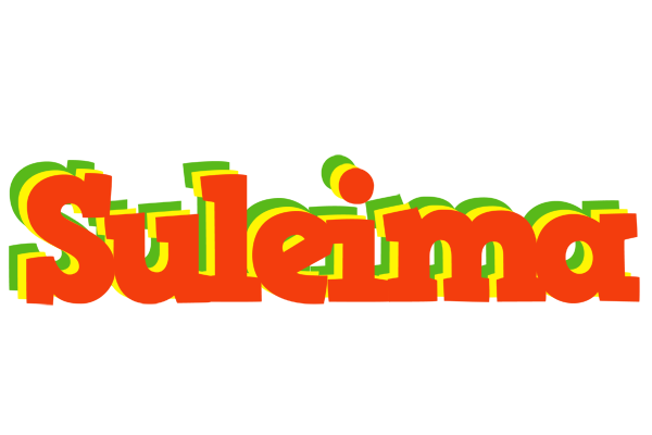 Suleima bbq logo