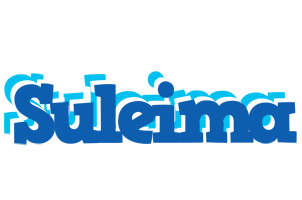 Suleima business logo