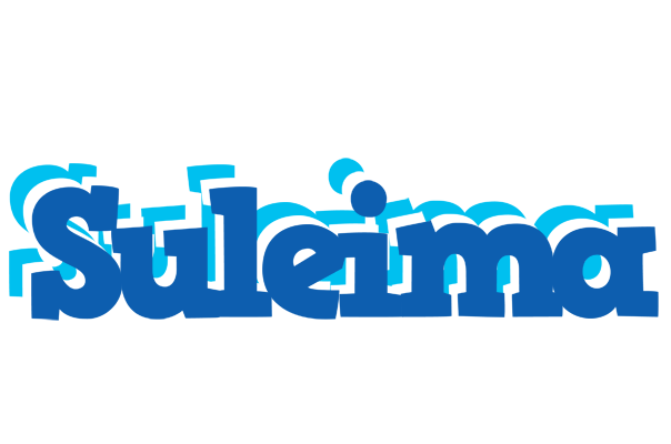Suleima business logo
