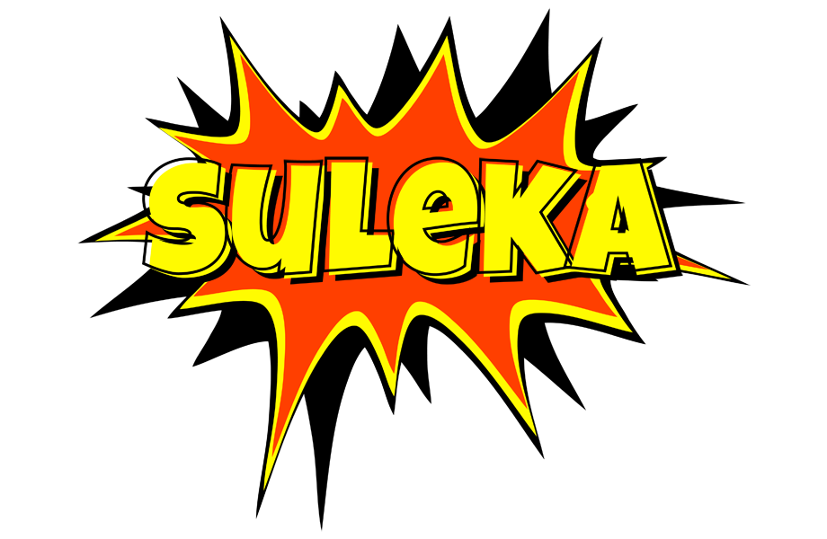 Suleka bazinga logo