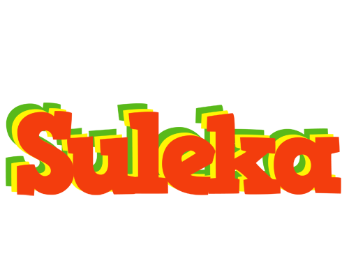 Suleka bbq logo